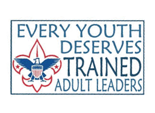 every youth needs trained leader image