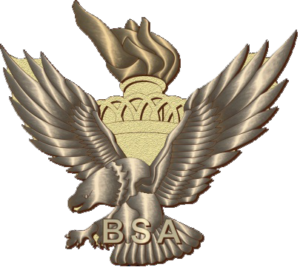 ESSPY Medal