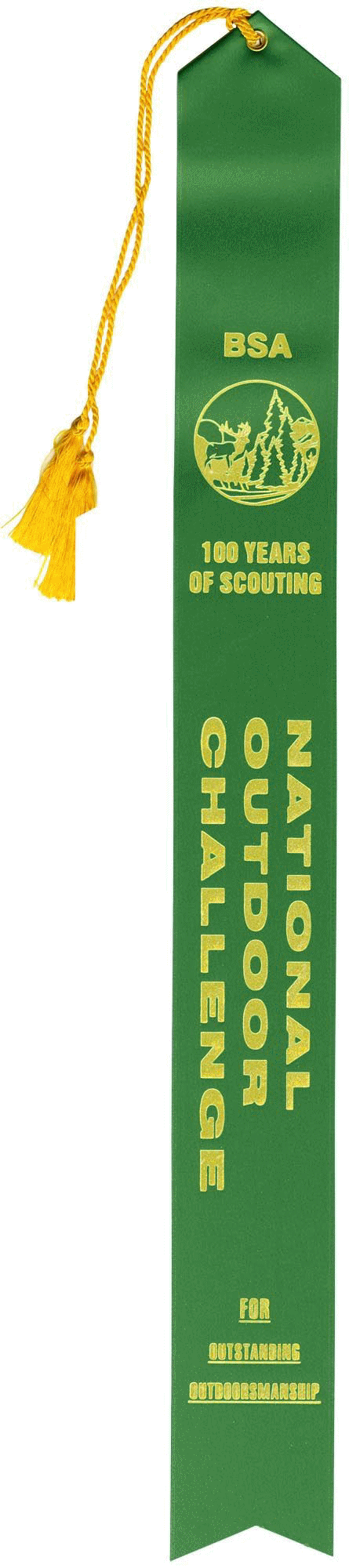 BSA National Outdoor Challenge Unit Award Ribbon